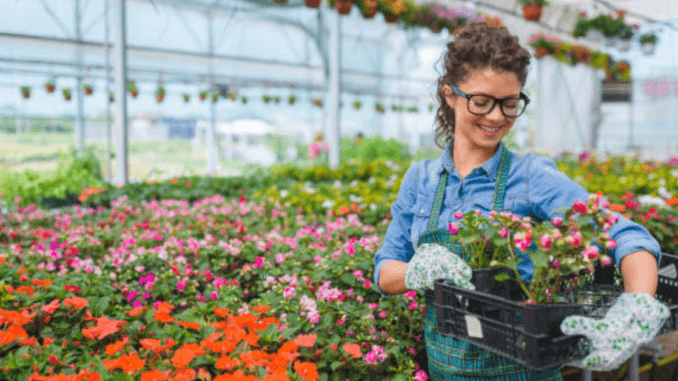 Flowers Garden Jobs in Poland 2024