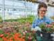 Flowers Garden Jobs in Poland 2024