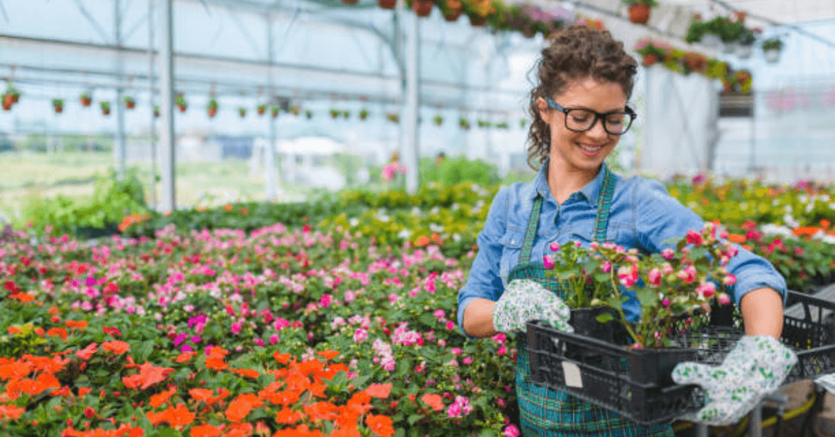 Flowers Garden Jobs in Poland 2024