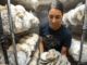 Mushroom Farm Jobs in Poland 2024