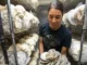 Mushroom Farm Jobs in Poland 2024