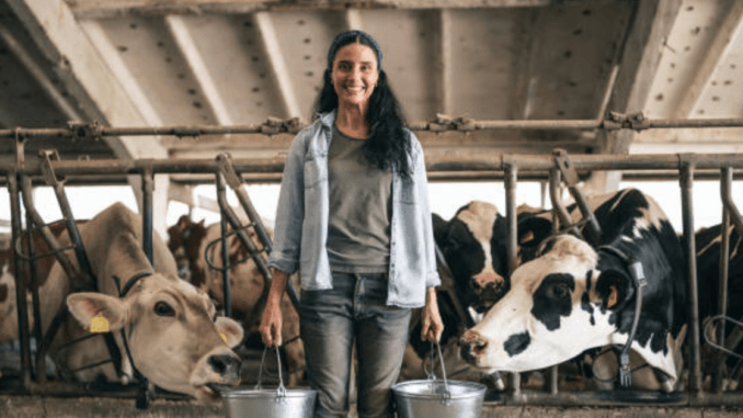 Beef Farm Worker Jobs in Australia