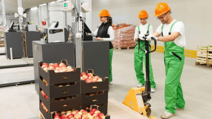 200+Food Factory Jobs in Luxembourg