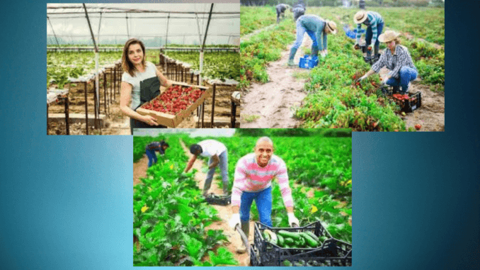 300+Farm Jobs in Norway 2024