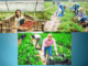 300+Farm Jobs in Norway 2024
