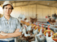 2252+Poultry Farm Workers Jobs in New Zealand