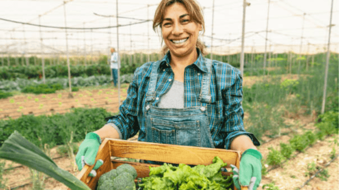 Farm Jobs in New Zealand, Job Vacancies - Oct 2024