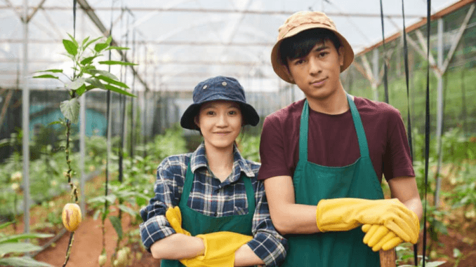 Fruit Picking Jobs in Canada with Work Visa October 2024