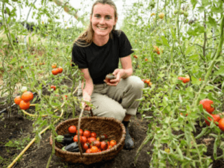 LMIA Approved Fruit Picker Jobs in Canada October 2024