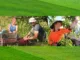 500+Berries Picking Jobs in Australia 2024