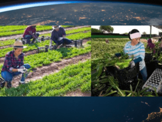209+agriculture Jobs in Germany October 2024