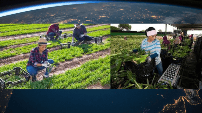 209+agriculture Jobs in Germany October 2024