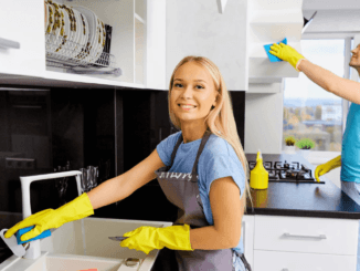 2066+house cleaner Jobs in United States October2024