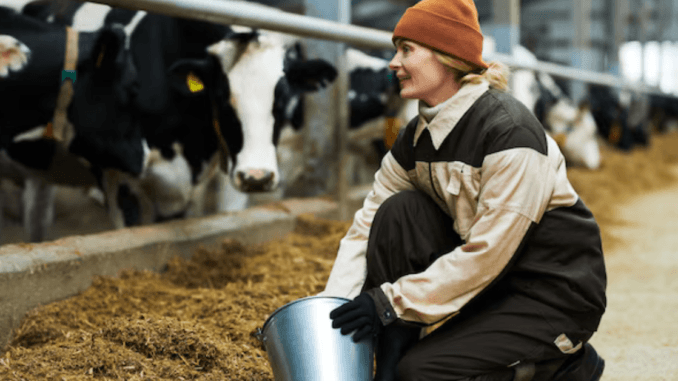 1020+New Zealand Cow Farm Worker Jobs