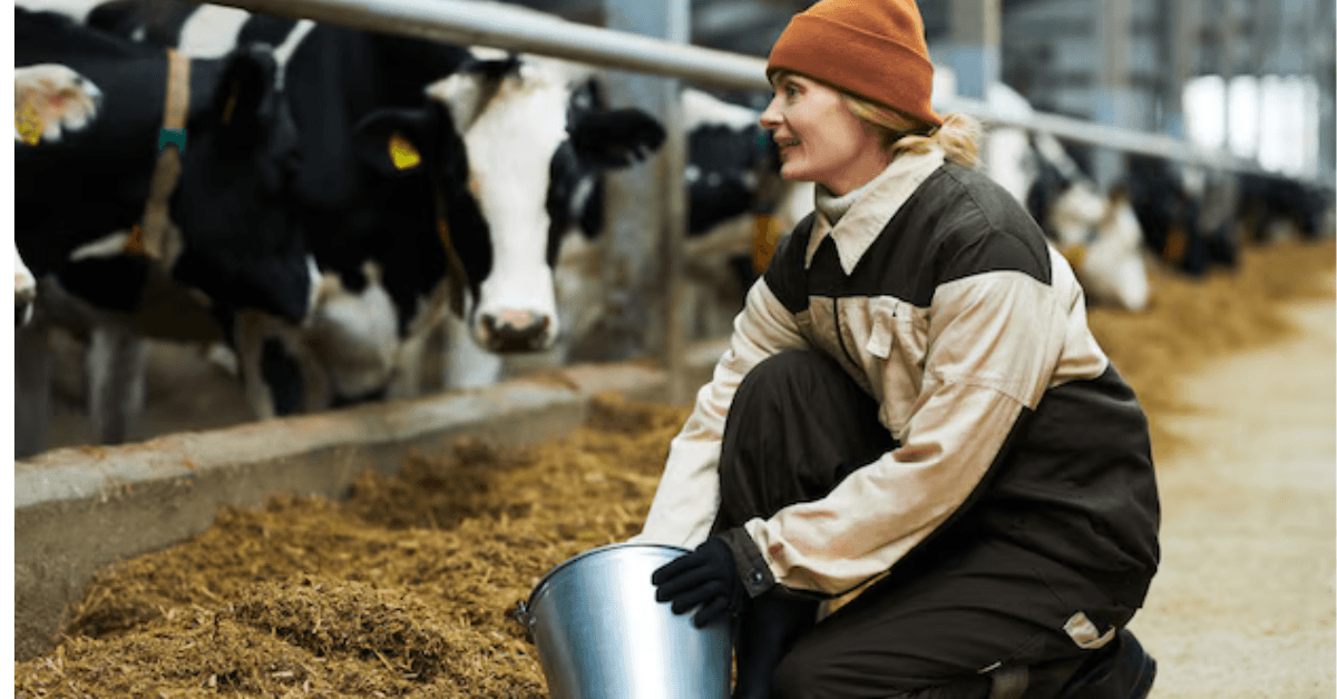 1020+New Zealand Cow Farm Worker Jobs