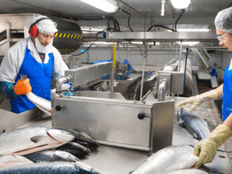 2250+Fish Packing Jobs in Poland