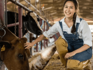970+Dairy Farm Worker Jobs in Ireland 2024