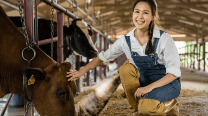 970+Dairy Farm Worker Jobs in Ireland 2024