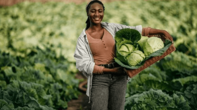 300+Farm Worker Jobs in Canada
