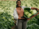 300+Farm Worker Jobs in Canada