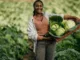 300+Farm Worker Jobs in Canada