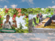 Apple picking jobs in Australia