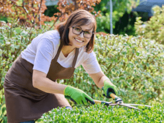 Gardener Jobs in Finland for Foreigners 2024