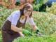 Gardener Jobs in Finland for Foreigners 2024
