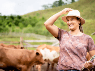 800+Cow Farm Worker Jobs in New Zealand 2024