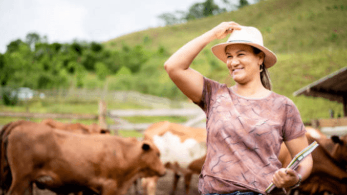 800+Cow Farm Worker Jobs in New Zealand 2024