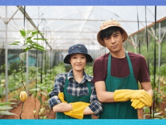 300+Vegetable Farm Worker Jobs in Canada