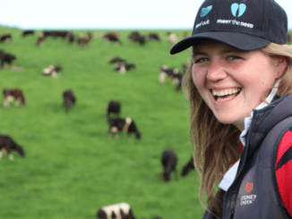 100+Farm Jobs Cow Farm Worker Jobs in New Zealand Nov 2024
