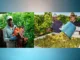 180+fruit pickers Jobs in Canada November2024