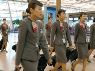 100+Flight Attendant Jobs At Korean Airlines 2024