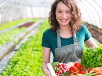 453+Farm Staff Agriculture farm worker jobs in UK
