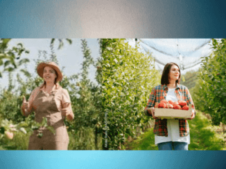 500+Orchard Worker Jobs in USA 2024