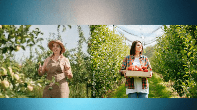 500+Orchard Worker Jobs in USA 2024