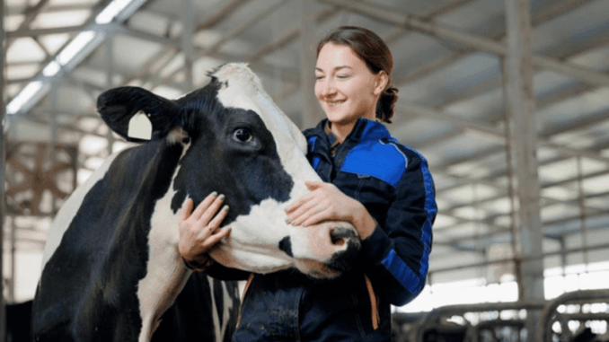 875+Dairy Farming Jobs in New Zealand