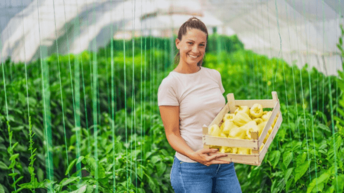 Unskilled Jobs in Scotland live in December 2024