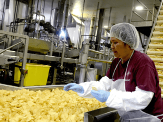 Potato Crisps Production Jobs in Poland Dec 2024