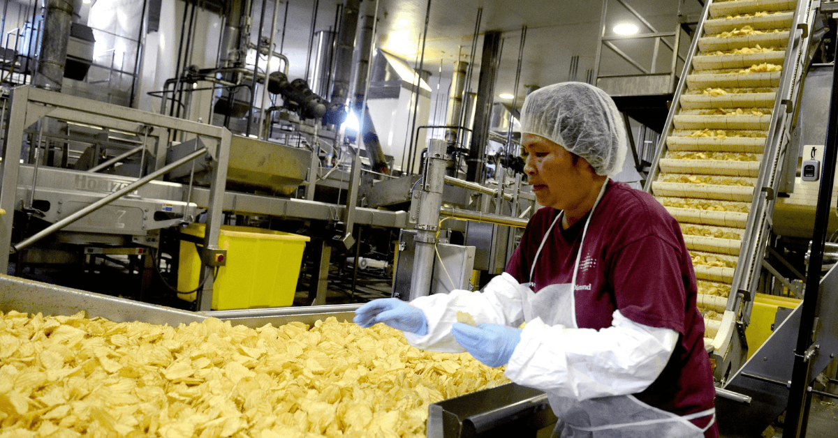 Potato Crisps Production Jobs in Poland Dec 2024