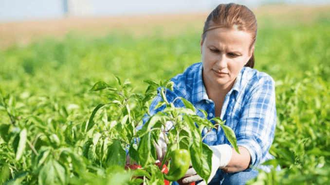 2000+Agriculture jobs in Canada Dec 2024