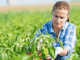 2000+Agriculture jobs in Canada Dec 2024
