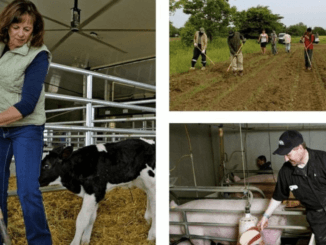 753+Farm work jobs in Canada December 2024