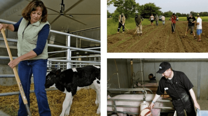 753+Farm work jobs in Canada December 2024