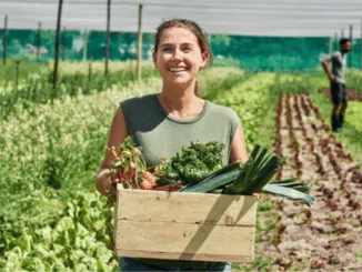 1000+Agriculture Jobs and Careers in the USA Dec 2024