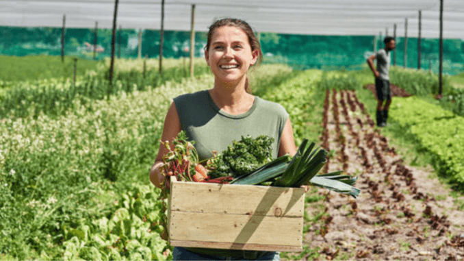 1000+Agriculture Jobs and Careers in the USA Dec 2024