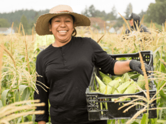 American Agriculture Farming jobs Dec 2024