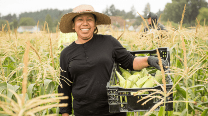 American Agriculture Farming jobs Dec 2024