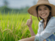 50+Grain Farm Worker Jobs in Canada 2024